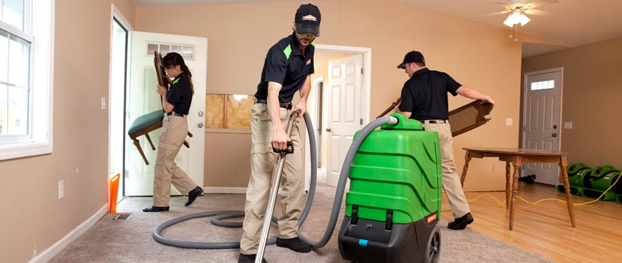 Friendswood, TX cleaning services